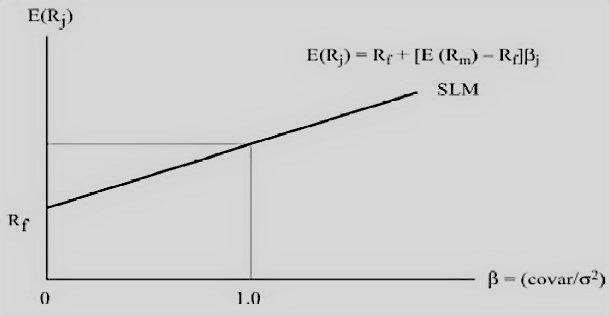 capital asset pricing model capm