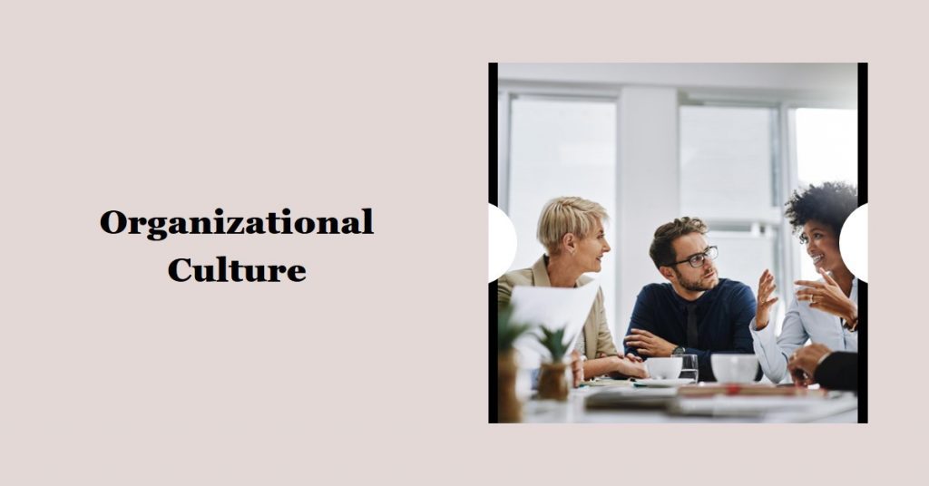 organizational culture